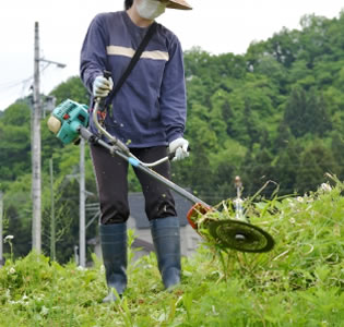 剪定、伐採